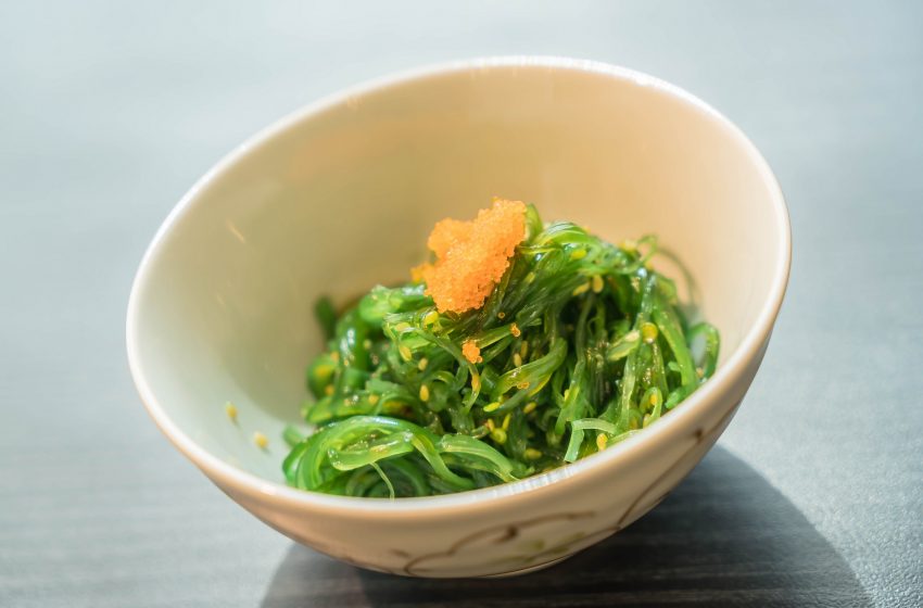  8 Lợi ích bất ngờ từ Rong biển Wakame “Có thể bạn chưa biết”!